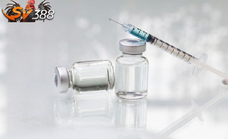 Các loại vắc xin nên dùng cho gà đá